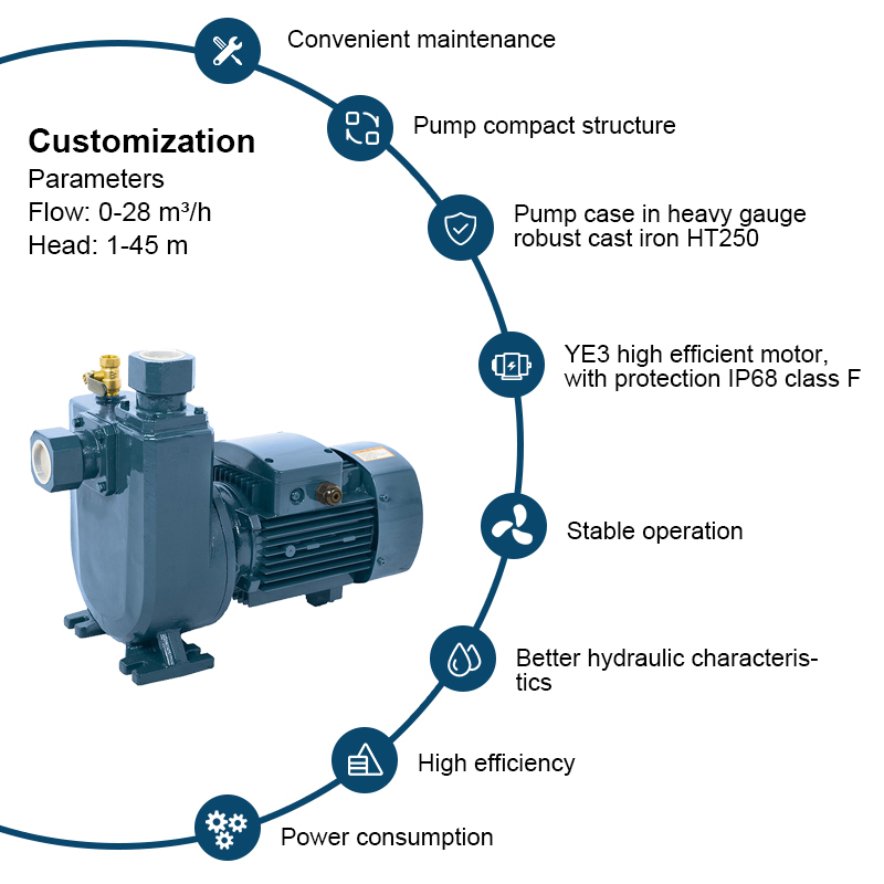 Pompa per irrigazione centrifuga autoadescante autoadescante per acqua pulita serie PXZ con attacco filettato