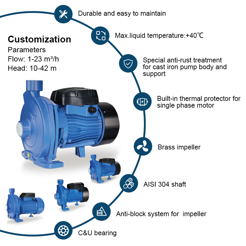 Pompe centrifughe elettriche per acqua di superficie CPm1.5HP per irrigazione